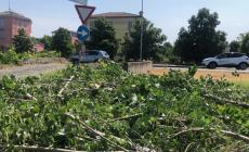 Parma, improvvisamente il buio,  poi un temporale violento misto a grandine:  tombini straripati in viale Fratti, alberi caduti  nella prima periferia della citt&agrave;. Numerose chiamate al 115