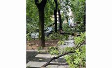 Ore 4, l'inferno a Milano: violentissimo temporale, tetti scoperchiati, alberi caduti. Nuova grandinata in Veneto, un ferito grave e danni . 