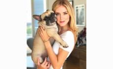 Chiara Ferragni su Instagram: l'addio a Matilda, il suo bulldog francese 