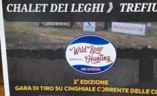 Ritorna la gara di tiro su cinghiale corrente: bocciata dalle guardie ecologiche e dagli ambientalisti ma difesa dal sindaco: "C'è spazio per tutti"