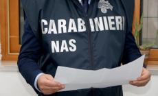 Diverse irregolarit&agrave; in case-famiglia e strutture per anziani di Parma e provincia: controlli dei Nas e sanzioni