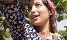 "Il Frutto della Tarda Estate": il film sar&agrave; proiettato nella sala Amoretti di Basilicanova