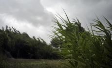 Allerta gialla per vento su diverse zone dell'Emilia-Romagna: anche nel Parmense
