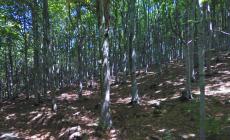 Escursionista si perde sul monte Molinatico lungo la via Francigena, recuperata dal soccorso alpino
