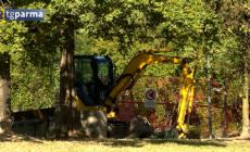 Al via ai lavori al Parco Nord - Video 