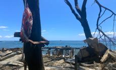 Catastrofe alle Hawaii: sale a 80 il bilancio delle vittime degli incendi - Foto 