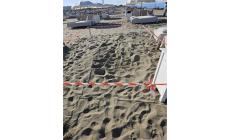Forte dei Marmi: una tartaruga depone le uova sulla spiaggia del Gilda 