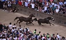 Palio di Siena, le foto