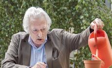 Lucchi e Berceto, il futuro curato come una piantina