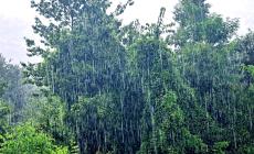 Grandinata a Tarsogno - Foto