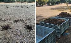 Cirque Bidon, dopo lo spettacolo gli escrementi sul prato. Gli organizzatori: "Abbiamo ripulito nei tempi programmati" - Le foto