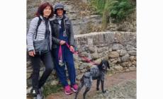 Trovati i corpi senza vita delle due donne che si erano tuffate per salvare il cane finito nelle acque di un  torrente