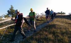 Da Fontanellato alla Cisa. A piedi sulla Francigena