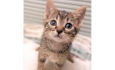 Ma siete sicuri che per me non c'&egrave; una casa?