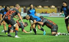 Zebre, nuovo corso: &laquo;Vogliamo vittorie e lo stadio pieno&raquo;