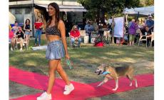 Sfilano al parco i cani &laquo;orfani&raquo; sperando di  trovare  una casa