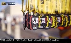 Mezza maratona: da venerdì a domenica grande festa per i runner parmigiani