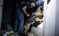 Operazione antimafia in tutta Italia, 84 misure cautelari. E a Roma e Napoli blitz interforze con 800 uomini