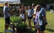 Ortocolto a Busseto, è la  festa dei giardini, degli orti, delle arti e del buon cibo