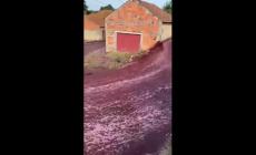 Fiumi di vino in strada: si sono rotti i serbatoi di una distilleria  in Portogallo - Video