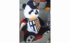 Parma Calcio Femminile, il segreto del successo? La mascotte, un pelouche crociato