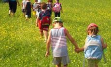 Centri estivi a Fidenza, l'anno dei record: accolti 1.739 iscritti da 0 a 14 anni