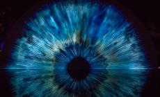 Vedi le mosche volanti? Quando c'&egrave; da preoccuparsi