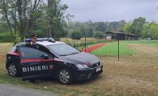 Rivendeva palline da golf rubate al circolo, denunciato per ricettazione