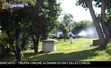 Dengue a Corcagnano: anche questa notte la disinfestazione - Video