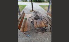 Panchine bruciate nel parco della scuola Newton