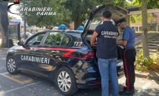 Felino, esercizio commerciale non in regola: attivit&agrave; sospesa