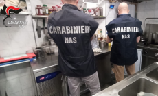 Alimenti scaduti e condizioni igieniche precarie, multato un ristorante a Reggio Emilia