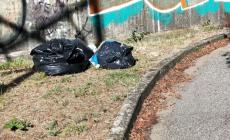 "La pista ciclabile che costeggia la linea alta velocità tra via Benedetta e via Magellano è diventata una discarica a cielo aperto"