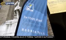 Parma, in tanti in piazza con l'Airc