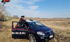 Langhirano: molesta i clienti di un bar, poi aggredisce i carabinieri e tenta di morderli