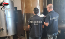 Controlli sulla produzione del vino.   Multata dal Nas un'azienda vitivinicola in provincia di Parma