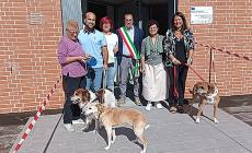 La storia del cane Plutino è diventata un libro