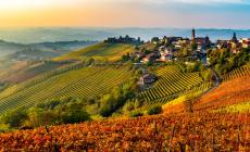 E' autunno: libiam! Idee per weekend tra cantine e vigneti