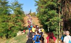 Giornata fantastica in questa estate d'ottobre alla camminata della Malvasia - Foto
