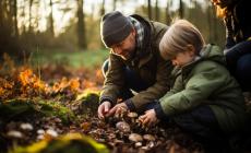 Funghi sicuri: come conservarli, come cuocerli per eliminare  le tossine