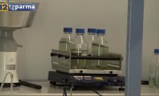 Il liceo Marconi festeggia i cento anni con il primo laboratorio didattico - Video