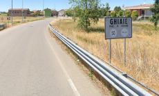 Pitbull scappa dal cancello, aggredisce e uccide un'anziana in provincia di Pavia
