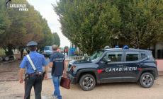 Langhirano: controlli a tappeto sulle strutture ricettive della zona. In un albergo titolare multato di 7mila euro. Attività sospesa