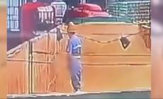 Cina, operaio del birrificio Tsingtao urina nella vasca di malto.  Crollo in Borsa - Video