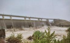  AIPo: "Dalle paratoie della cassa del Parma, 90 metri cubi al secondo in uscita"- Foto