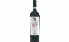 Secondo Marco Valpolicella Superiore Classico Ripasso 2018