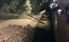 Ponte di Sorbolo, arcate quasi "tappate" dalla legna arrivata con la piena: iniziata la rimozione - Video