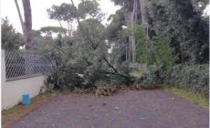 Versilia, domani scuole chiuse per maltempo in diversi comuni - Foto 