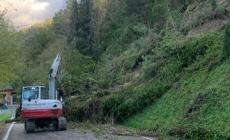 Compiano,  la montagna si "sbriciola", terra e alberi sulla strada, la provinciale 66 - Foto