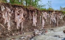Il Baganza in piena scoperchia una discarica a San Michele Gatti